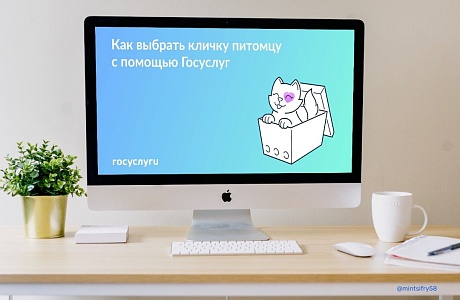 На Госуслугах появился генератор кличек для питомцев